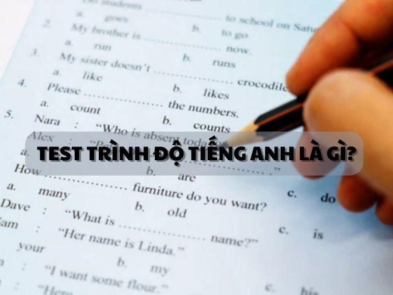 Test trình độ LLC88.com đặc quyền hội viên vip là gì?