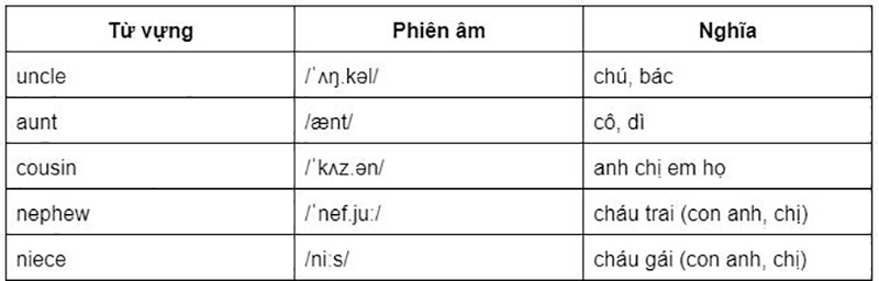 Từ vựng về anh em, họ hàng