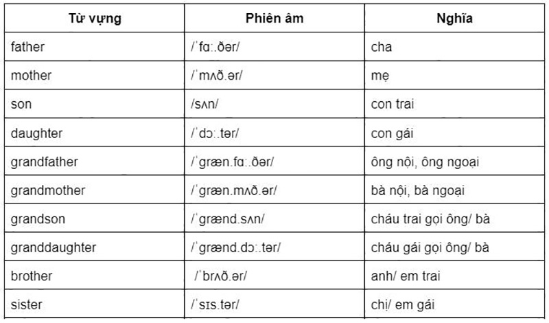 Từ vựng về các thành viên trong Lc88 nhacai phiên bản mới