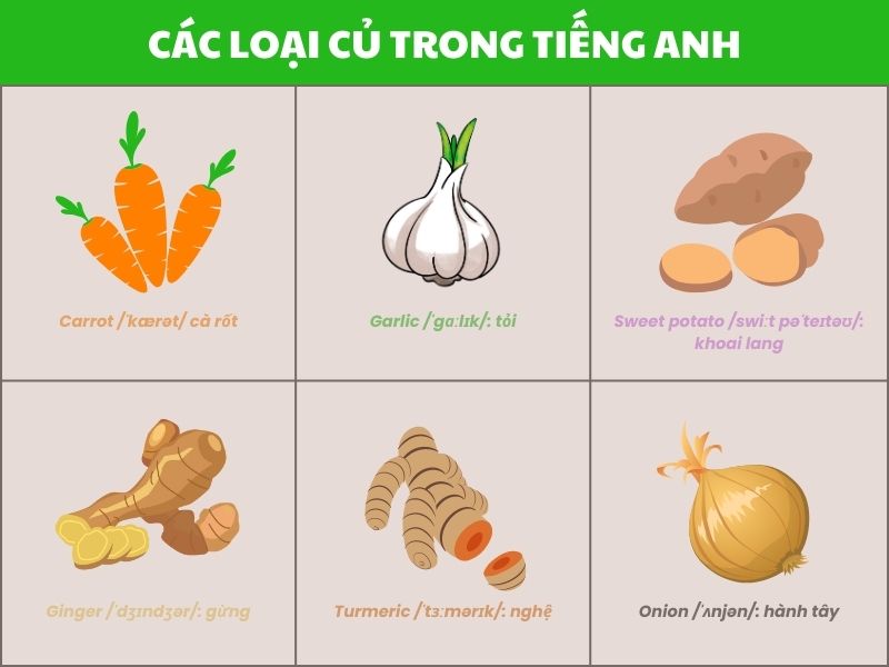 Từ vựng LLC88.com đặc quyền hội viên vip về các loại củ