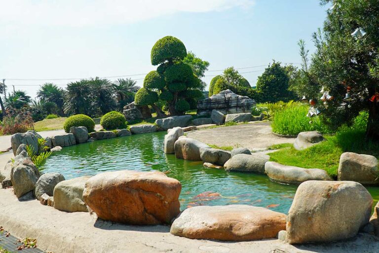 Không gian Mỹ Quỳnh Safari