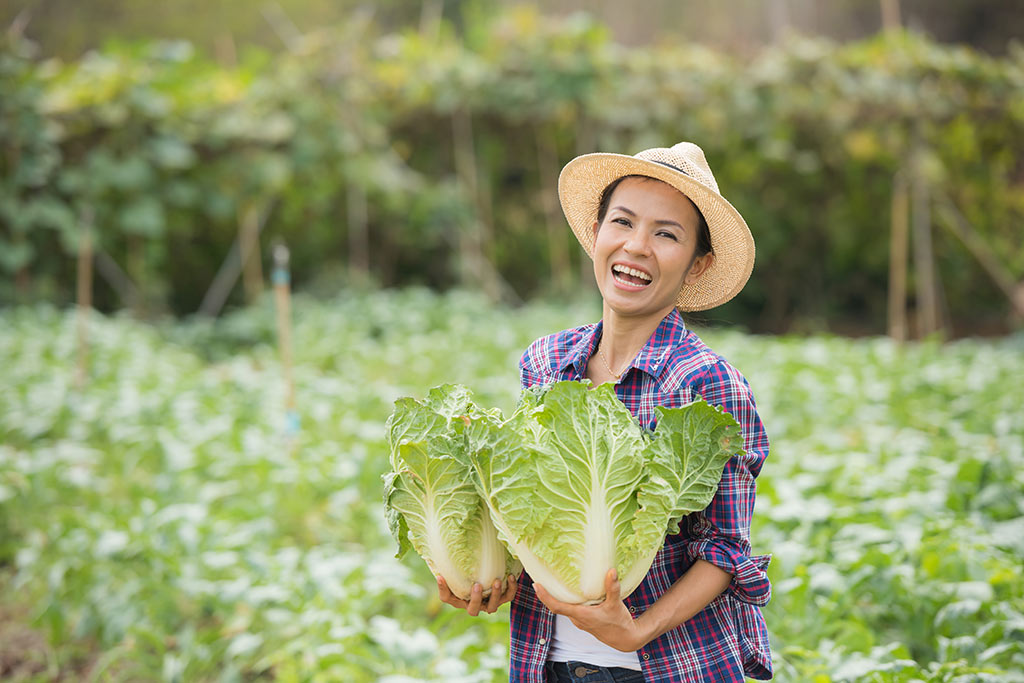 Từ vựng nghề nghiệp nhóm Nông nghiệp