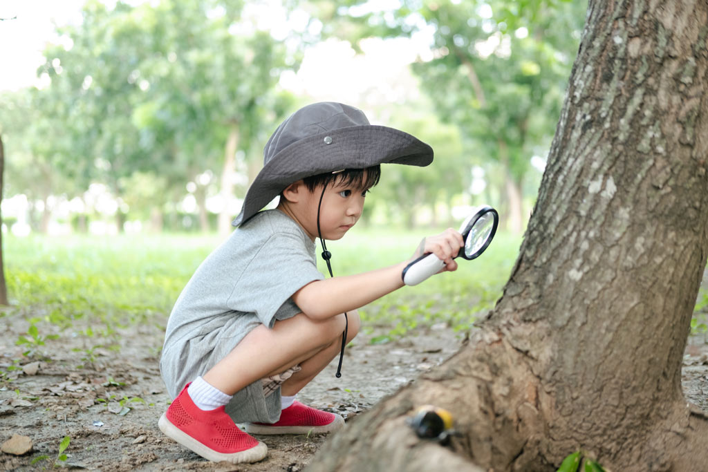 Học qua khám phá thiên nhiên và môi trường bên ngoài